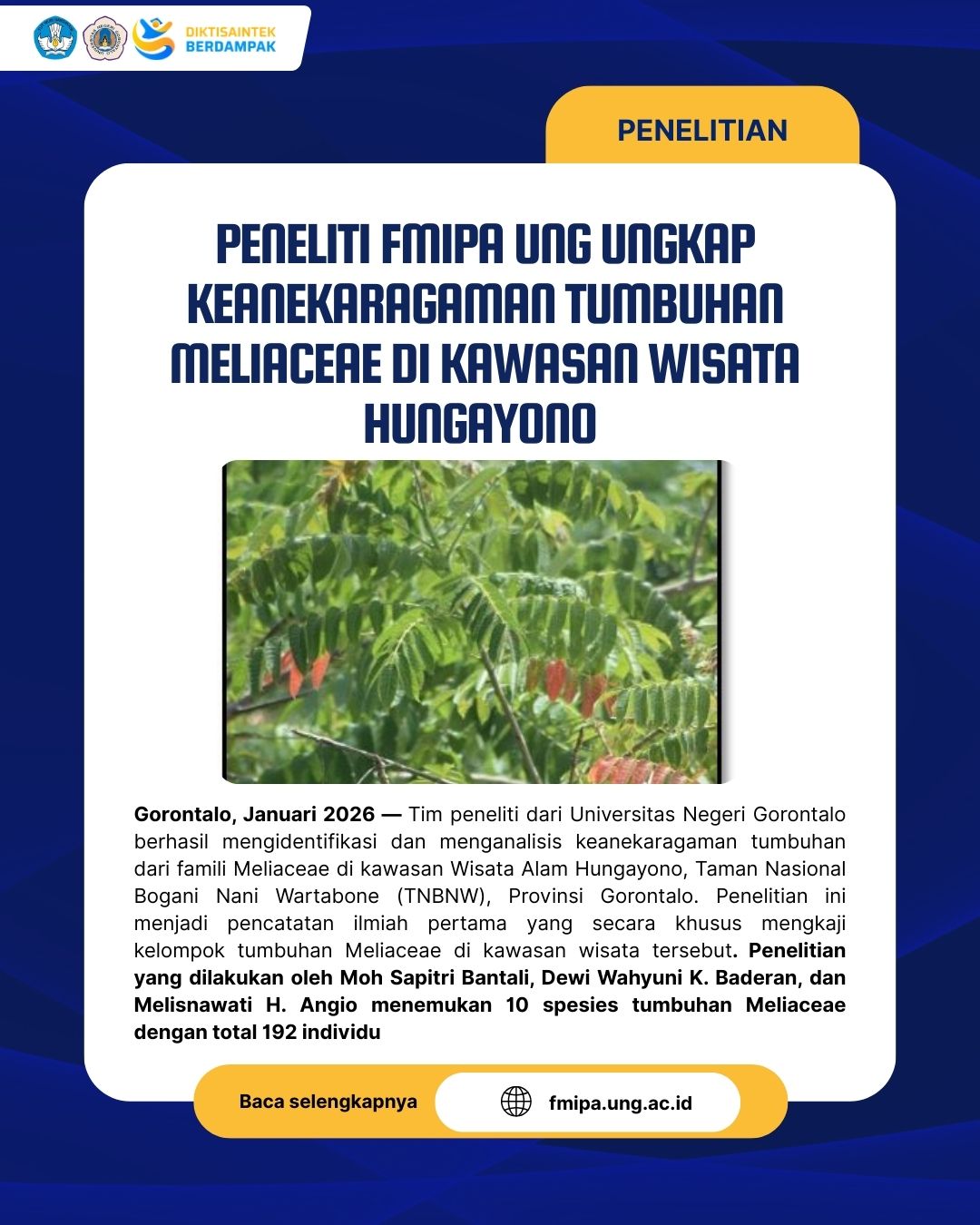 Tanpa Gambar