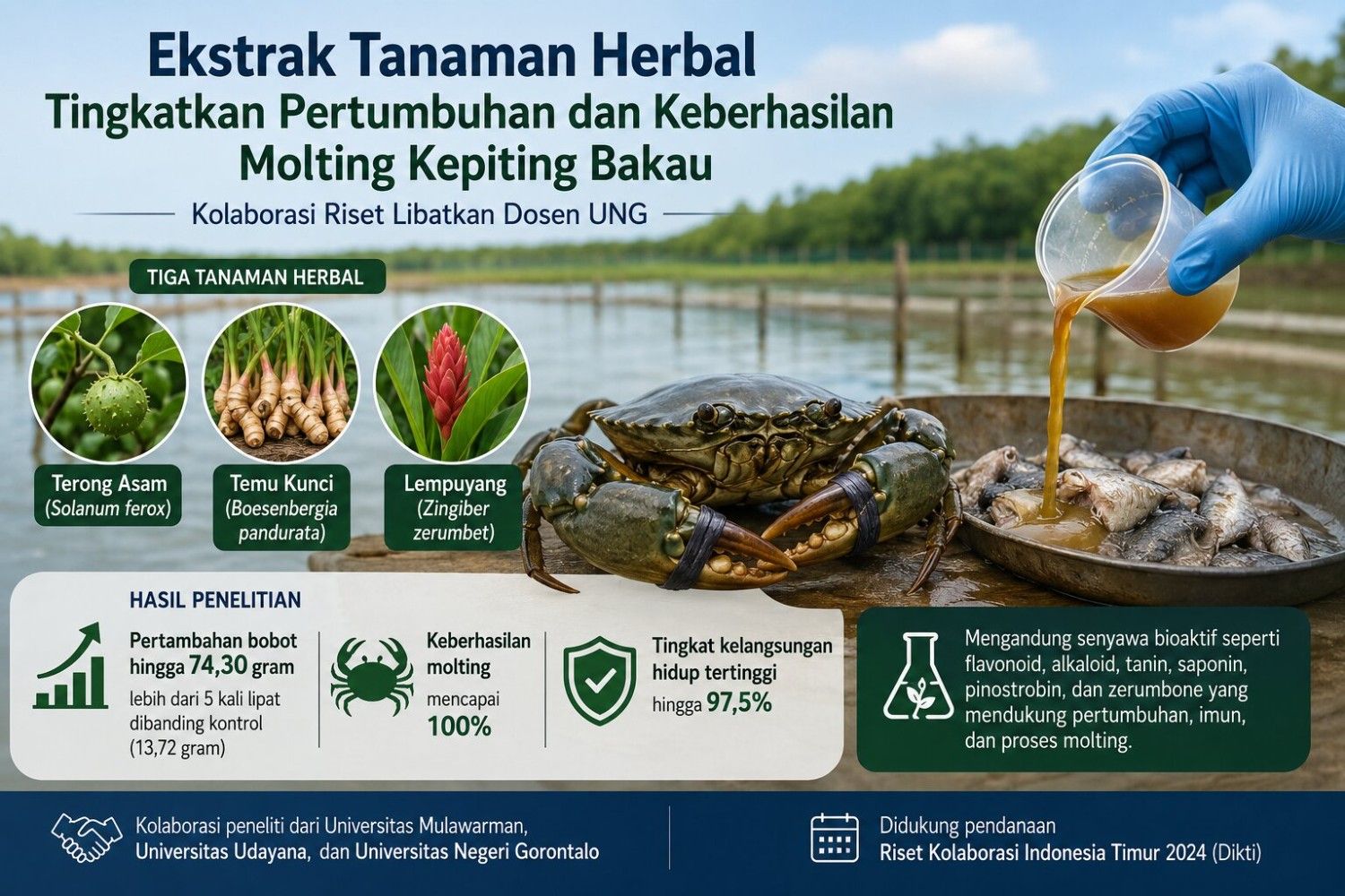 Tanpa Gambar