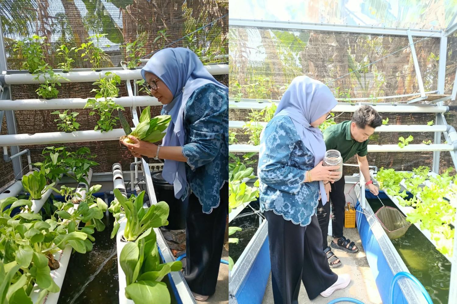 Tanpa Gambar