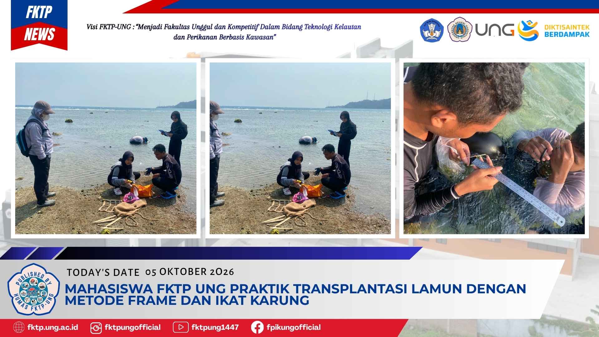 Tanpa Gambar