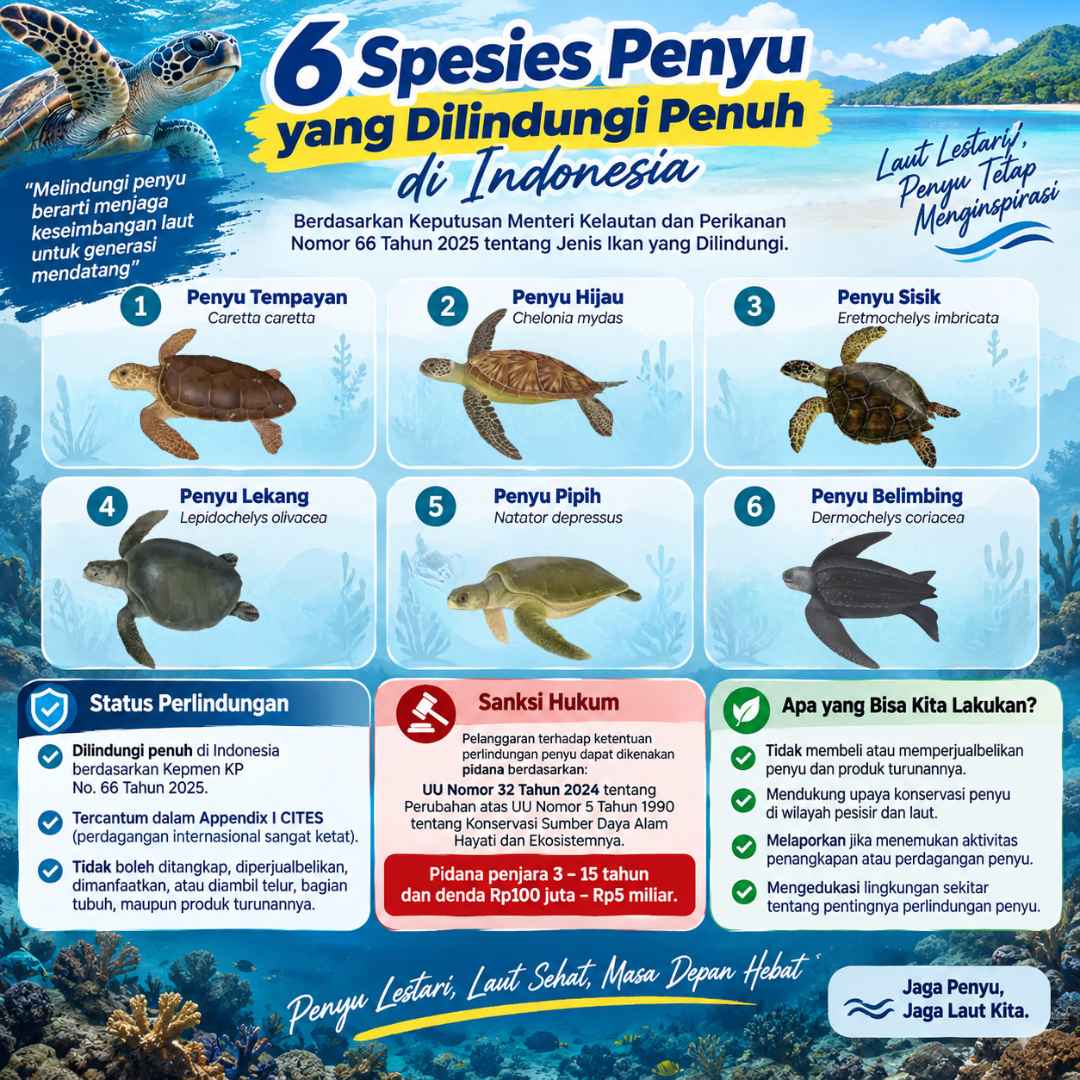 Tanpa Gambar
