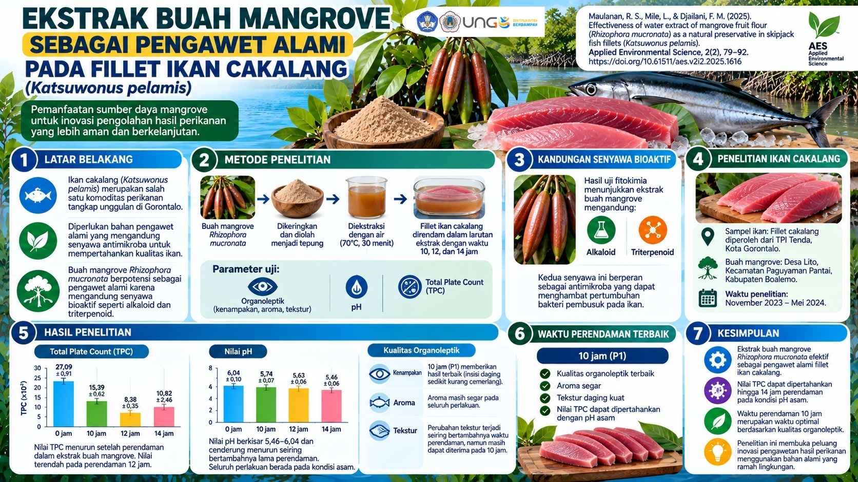 Tanpa Gambar