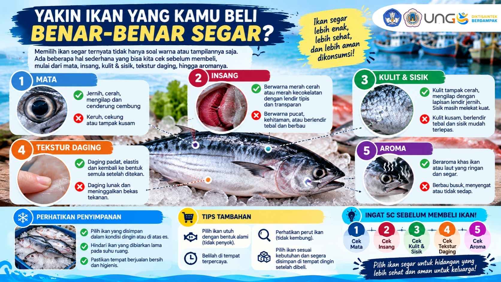 Tanpa Gambar