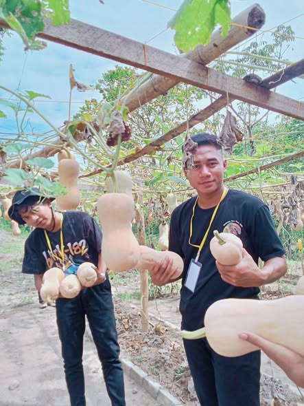 Tanpa Gambar