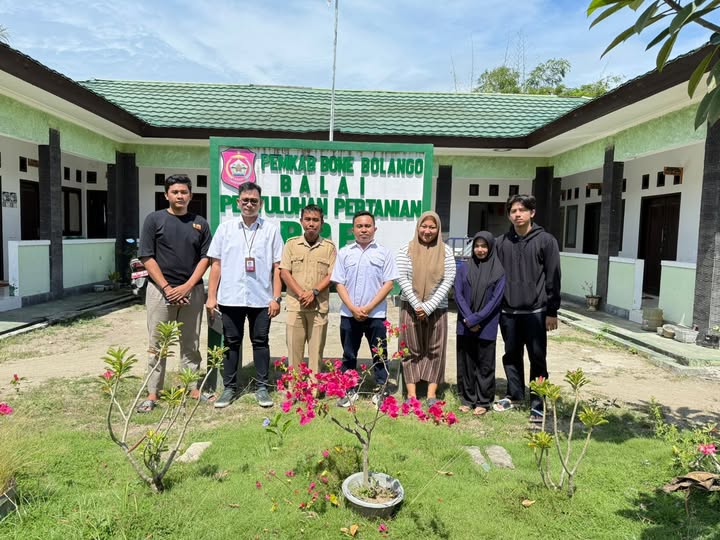 Tanpa Gambar