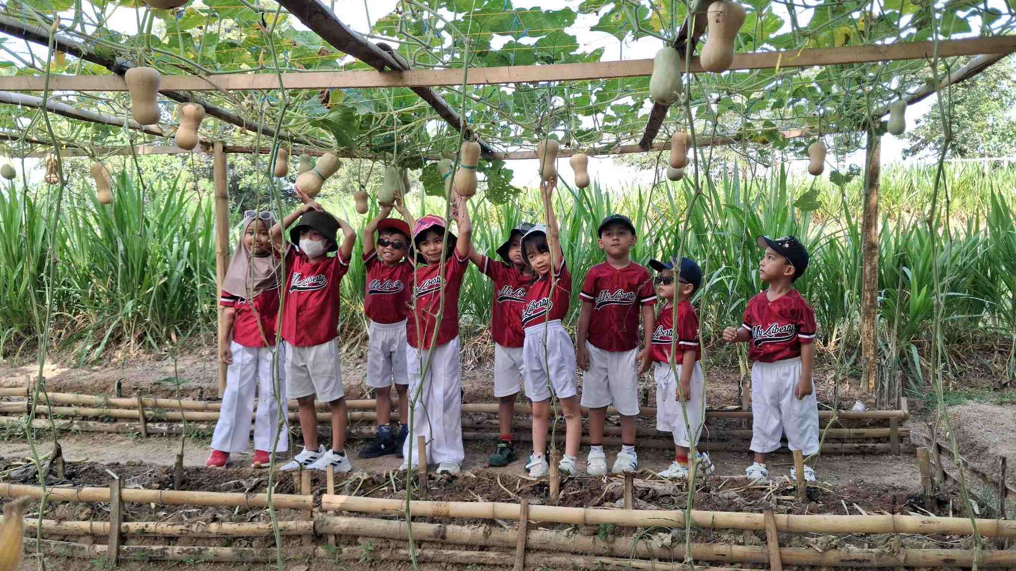 Tanpa Gambar