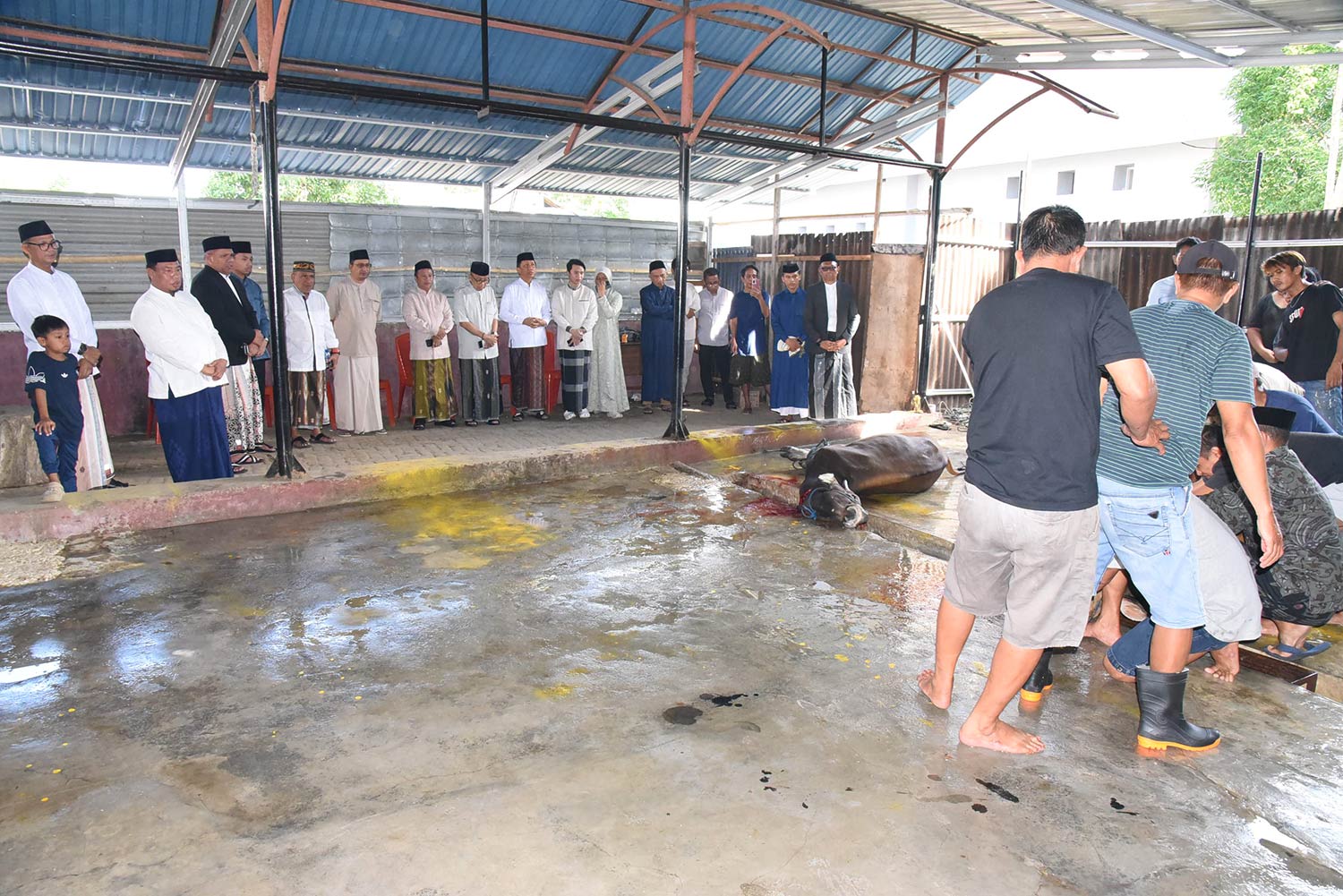 Tanpa Gambar