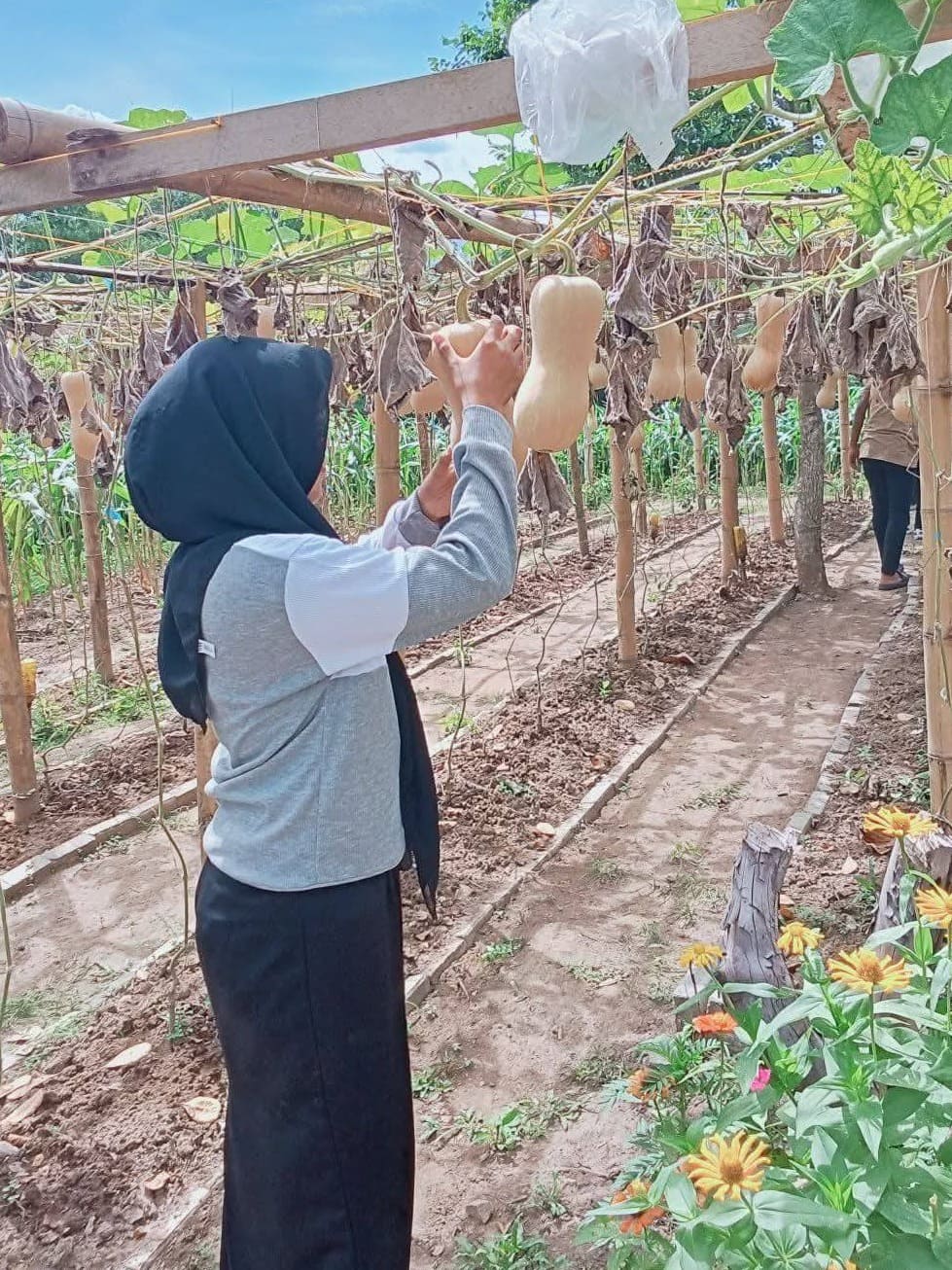 Tanpa Gambar