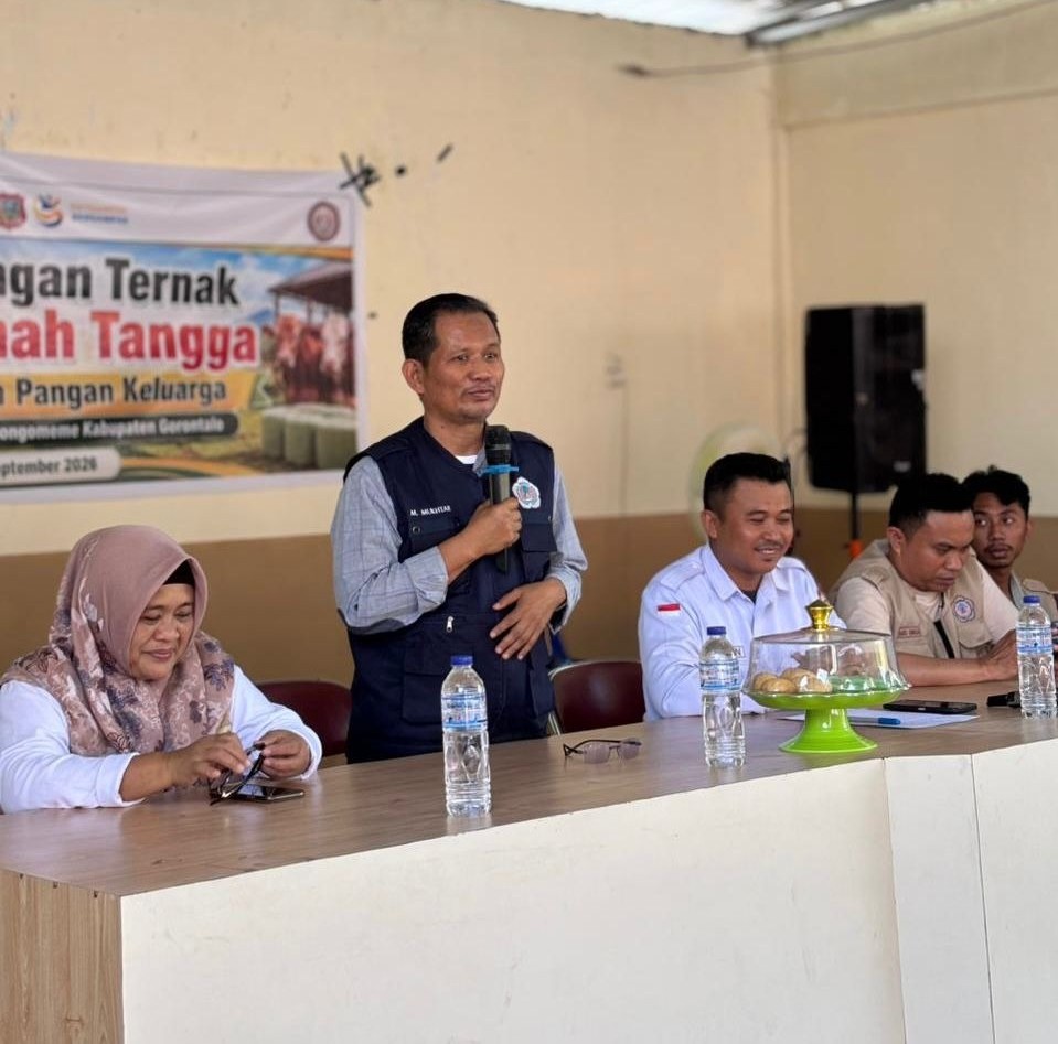 Tanpa Gambar
