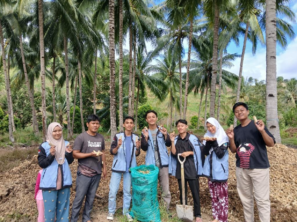 Tanpa Gambar